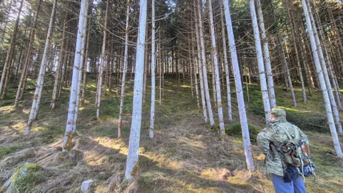 Bayrisch Kanada Rundweg Nr. 14