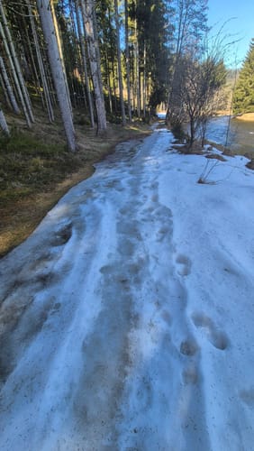 Bayrisch Kanada Rundweg Nr. 14