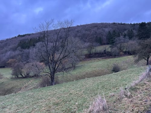 Zuschauerwanderung