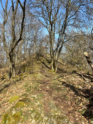 Gladenbacher Berglandring (Extratour)