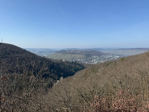 Bernkasteler Bärensteig (Moselsteig Seitensprung)