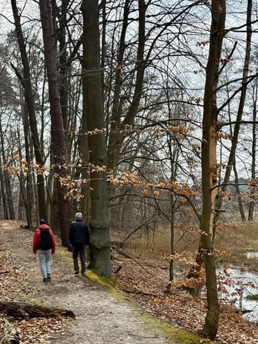 Hellsee und Plötzensee Rundweg