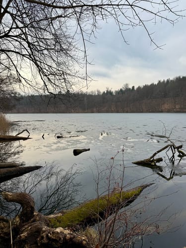 Hellsee und Plötzensee Rundweg