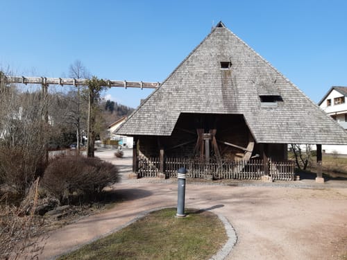 ParadiesTour WaldWasserLäufer