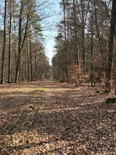 Von Seewoog zum Langacker