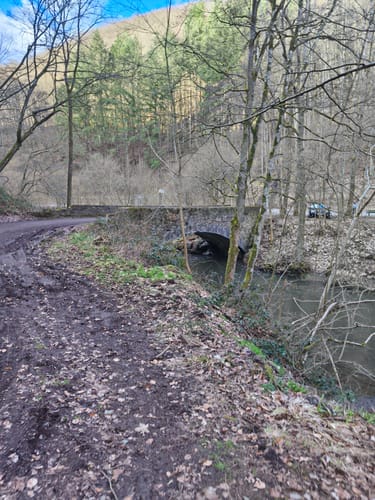 Förstersteig (Traumpfad)