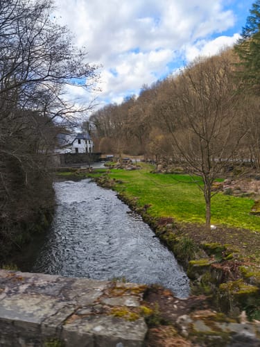Förstersteig (Traumpfad)
