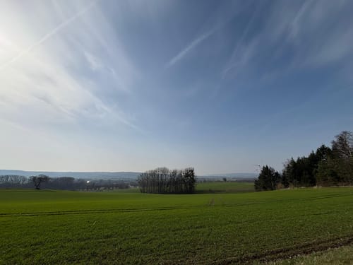 Durch das liebliche Walterbachtal
