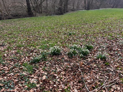 Durch das liebliche Walterbachtal