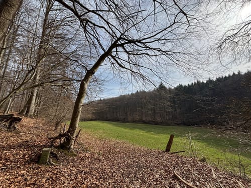 Durch das liebliche Walterbachtal