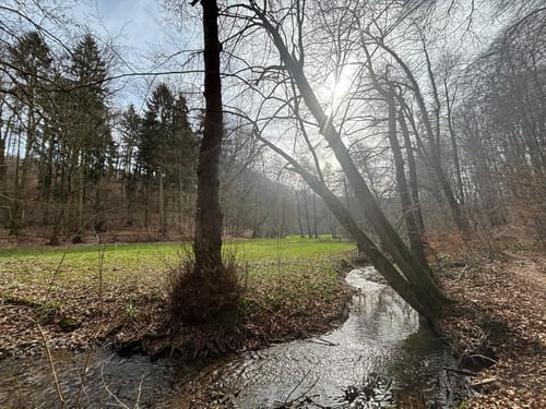 Durch das liebliche Walterbachtal