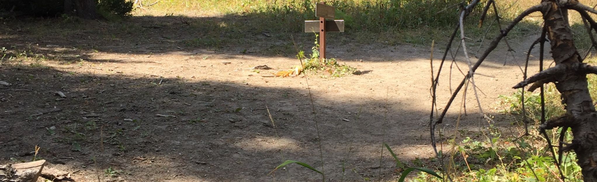 South Leigh Creek Trail, Wyoming 77 Reviews, Map AllTrails