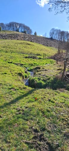 Rundwanderweg Schalksmühle (weißes Dreieck)
