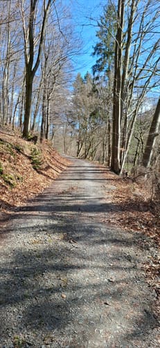 Rundwanderweg Schalksmühle (weißes Dreieck)