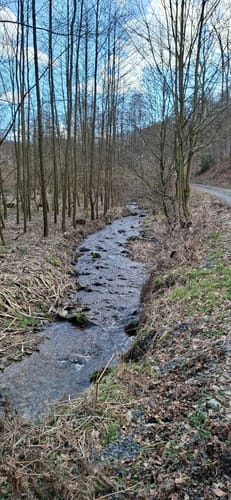Rundwanderweg Schalksmühle (weißes Dreieck)