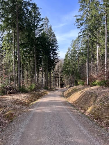 Schwarzenberg im Erzgebirge - Heide