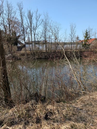 Um den Bingstetter See am Stockheim