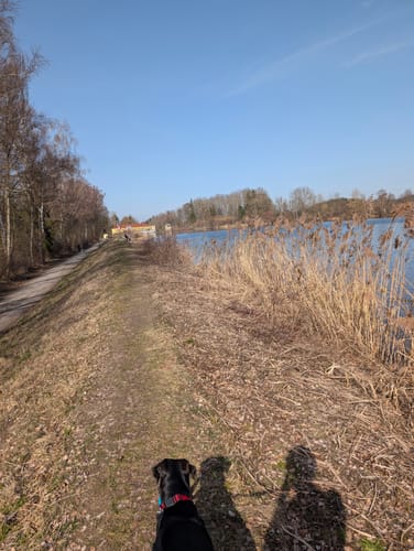 Um den Bingstetter See am Stockheim