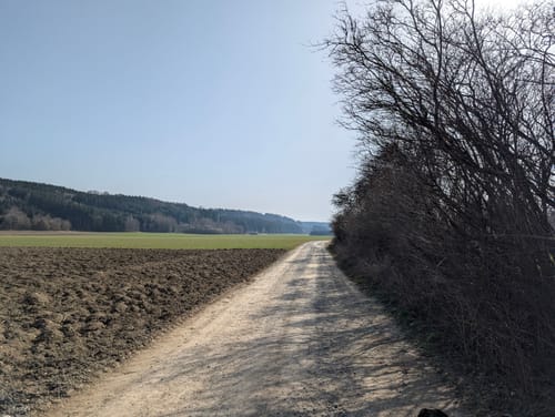 Um den Bingstetter See am Stockheim