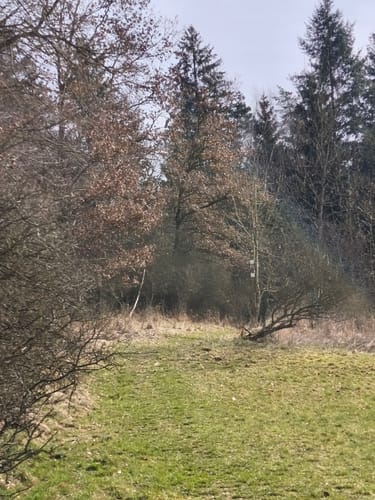 Neandertalerweg - auf Spuren der Eiszeitjäger