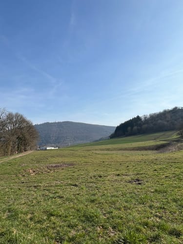 Oberhausen an der Nahe - Booser Blick