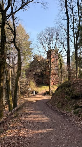 7-Burgen-Wanderung im Dahner Felsenland
