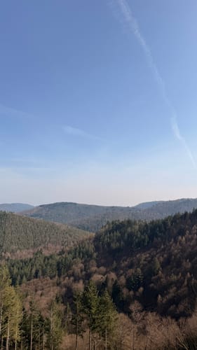 7-Burgen-Wanderung im Dahner Felsenland