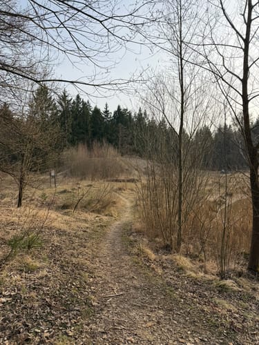 Perlacher Forst und Muggl ab Unterhaching