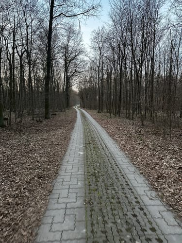 Durch die Oranienbaumer Heide