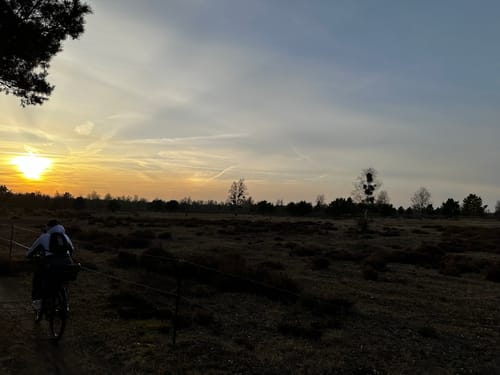 Durch die Oranienbaumer Heide