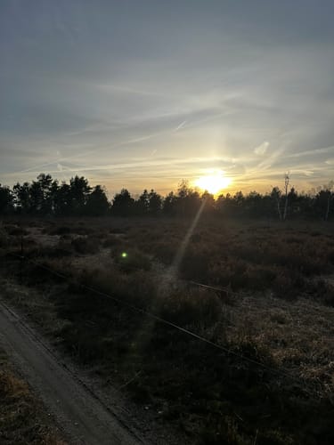 Durch die Oranienbaumer Heide