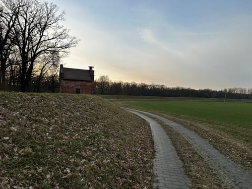 Durch die Oranienbaumer Heide