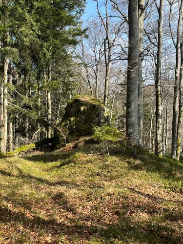 Gipfeltour bei Simonswald