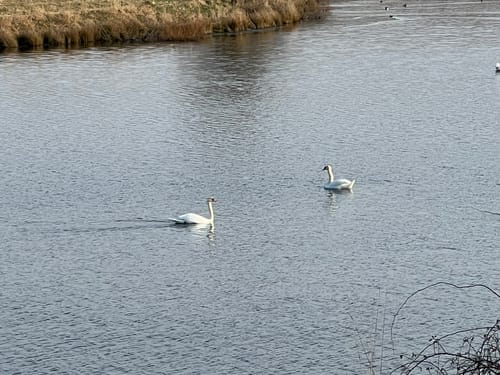 Lutherweg und Rittergut Positz