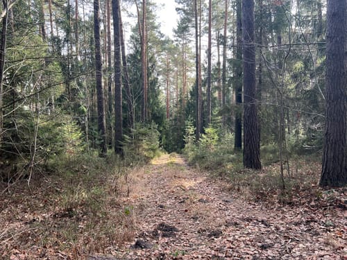 Lutherweg und Rittergut Positz