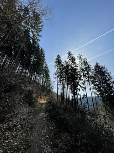 Iserbachschleife (Wällertour)