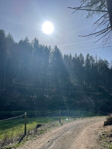Iserbachschleife (Wällertour)