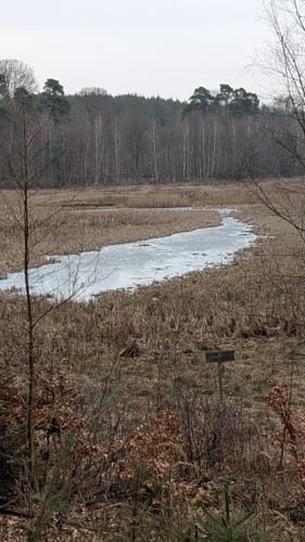 Rund um den Blumenthalsee