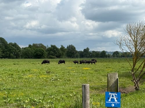 Amanaburch-Tour (Premiumwanderweg)