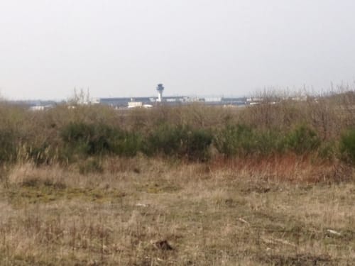 Von CGN durch die Wahner Heide