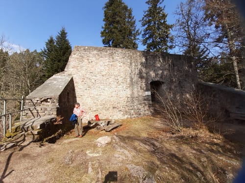 ParadiesTour WaldWasserLäufer