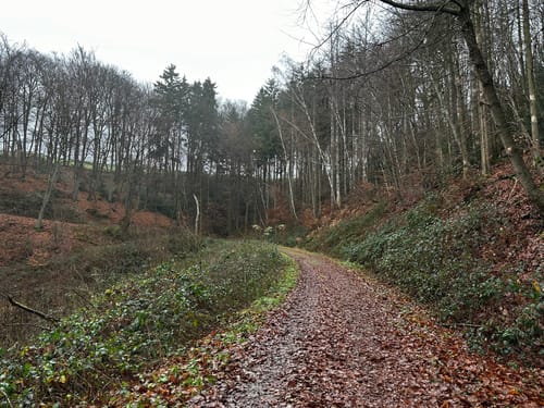 Ringelsteinweg