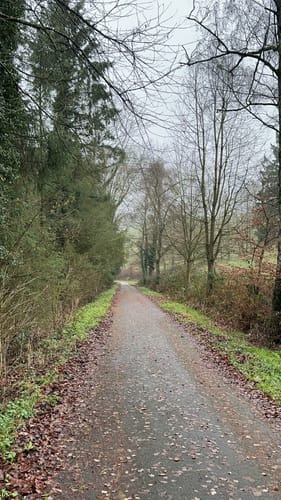 Ringelsteinweg