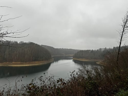 Ringelsteinweg