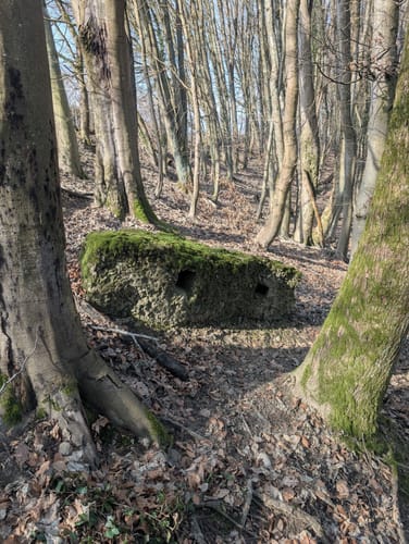 Idesbachpfad (Premiumwanderweg)