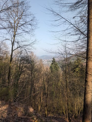 Idesbachpfad (Premiumwanderweg)