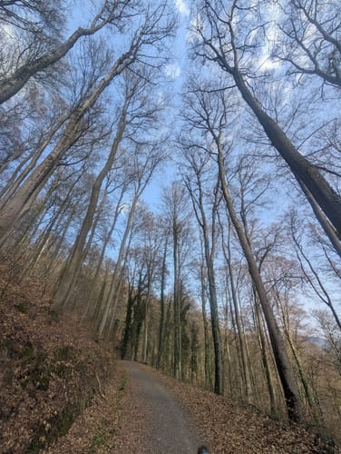 Idesbachpfad (Premiumwanderweg)