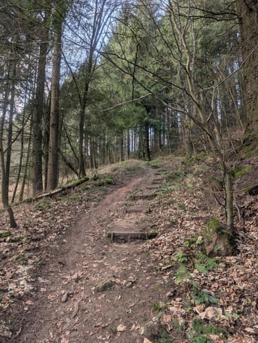 Idesbachpfad (Premiumwanderweg)