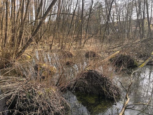 Rundwanderweg Sutschketal