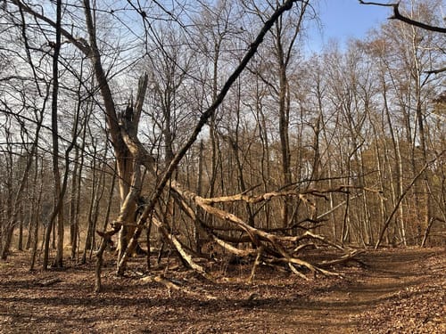 Rundwanderweg Sutschketal